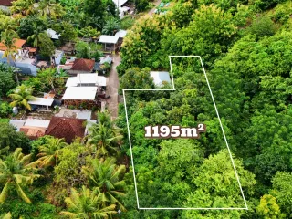 Tanah Dijual – Harga Terbaik di Lovina, Bali