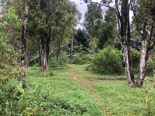 TANAH PERKEBUNAN LUAS DI KOTA BATANG