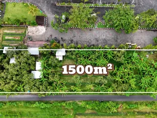 Tanah Strategis Dijual – Central Lovina, Buleleng, Bali Utara