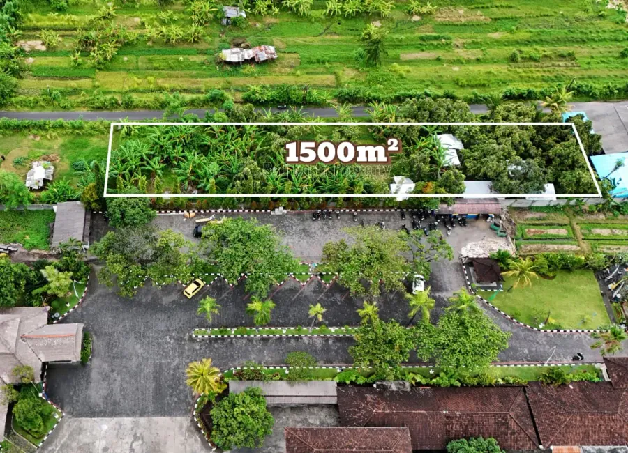 place photo 4
