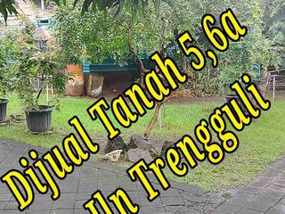Dijual Tanah 5,6a di Jln Trengguli Denpasar Timur Bali