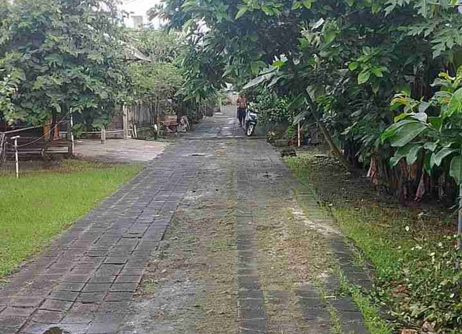 place photo 3