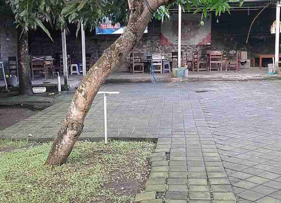 place photo 9