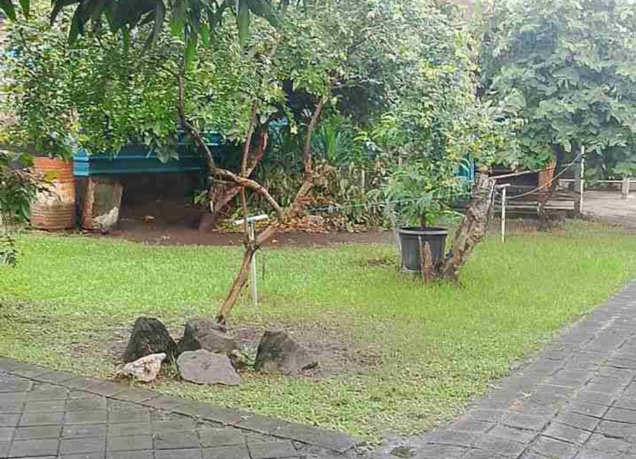 place photo 11