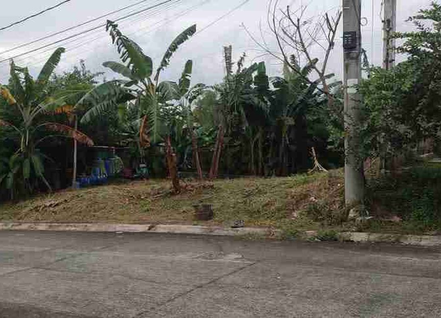 Highlands Avenue, Highlands Pointe Phase 1, Dolores, Taytay, Rizal image 3