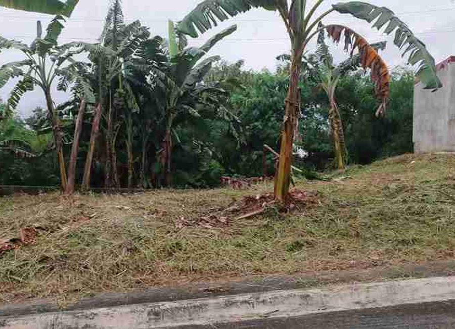 Highlands Avenue, Highlands Pointe Phase 1, Dolores, Taytay, Rizal