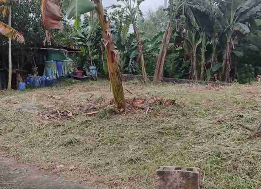 Highlands Avenue, Highlands Pointe Phase 1, Dolores, Taytay, Rizal image 2