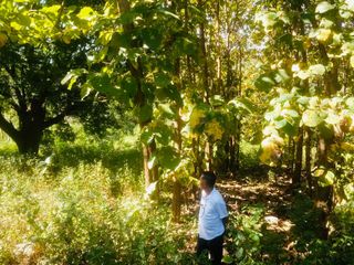 Dijual Cepat Tanah Premium View Kota Di Karato Sumbawa Besar