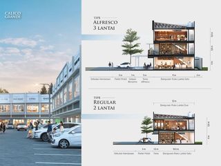 New Investasi Jangka Panjang Calico Grande – Kawasan Grande Pertama Paramount Petals