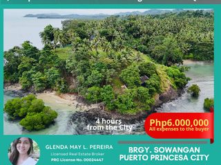 6M Beach House in Quezon, Palawan