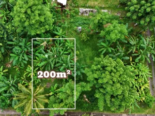 Tanah Strategis Dijual di Pusat Lovina, Bali Utara