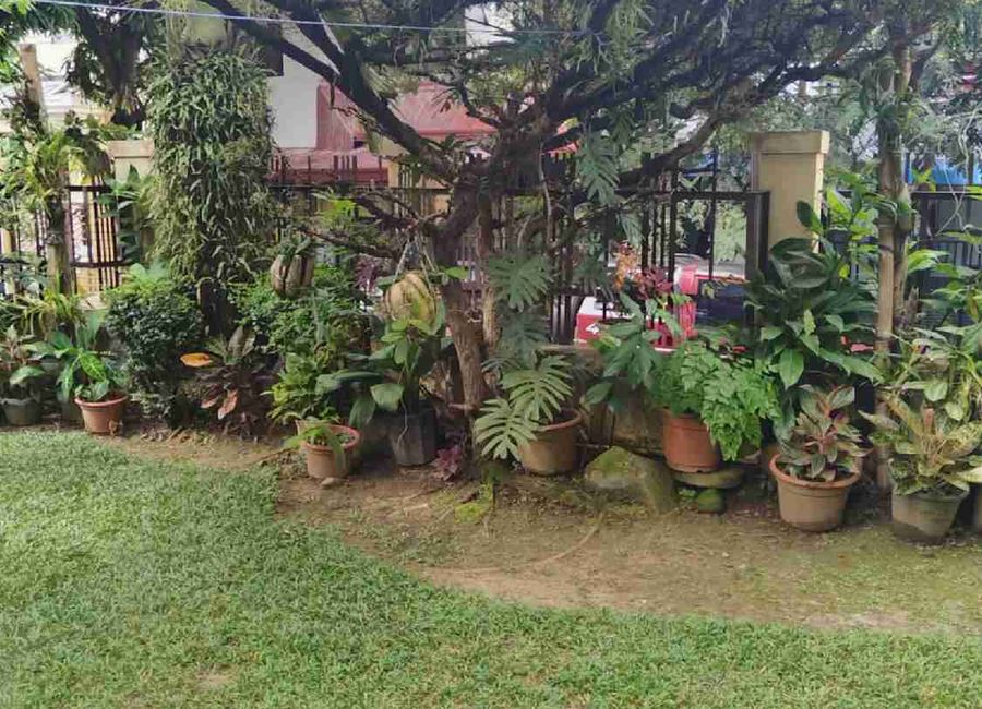 Baras, Rizal image 3