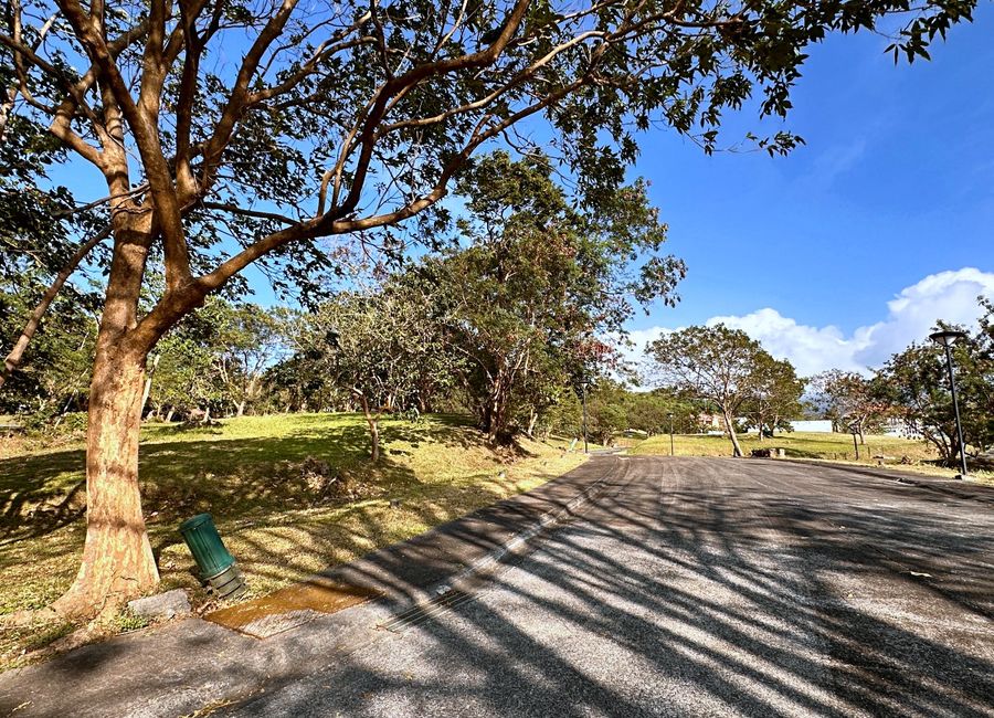 Spine Road, Ayala Greenfield Estates, Maunong, Calamba, Laguna image 3