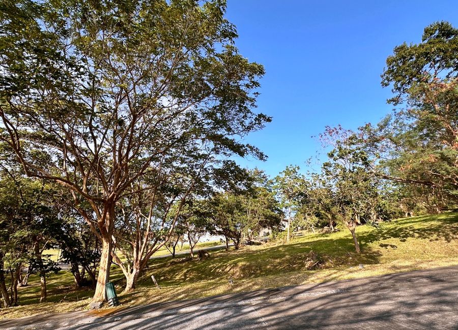 Spine Road, Ayala Greenfield Estates, Maunong, Calamba, Laguna image 2