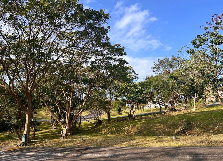 Spine Road, Ayala Greenfield Estates, Maunong, Calamba, Laguna