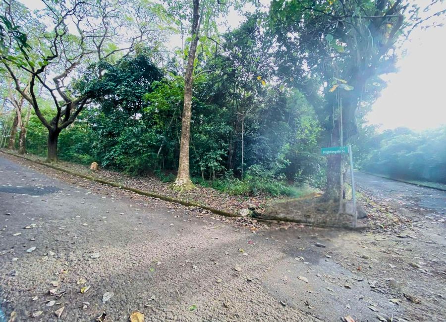 M. L. Quezon Street, San Roque, Antipolo, Rizal image 2