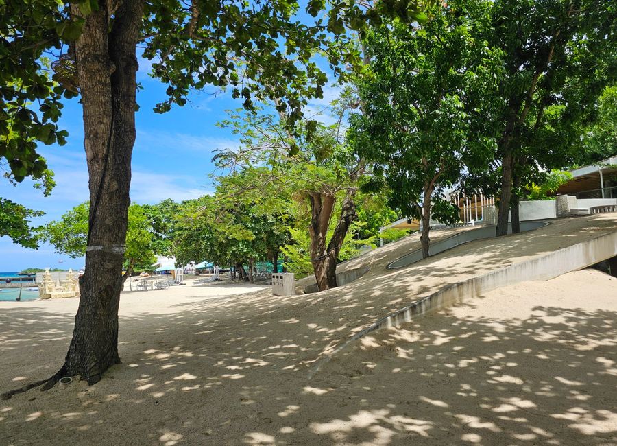 place photo 31