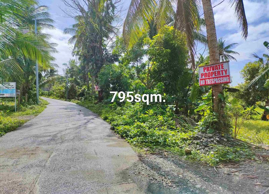Puting Kamatis, Dinahican, Infanta, Quezon