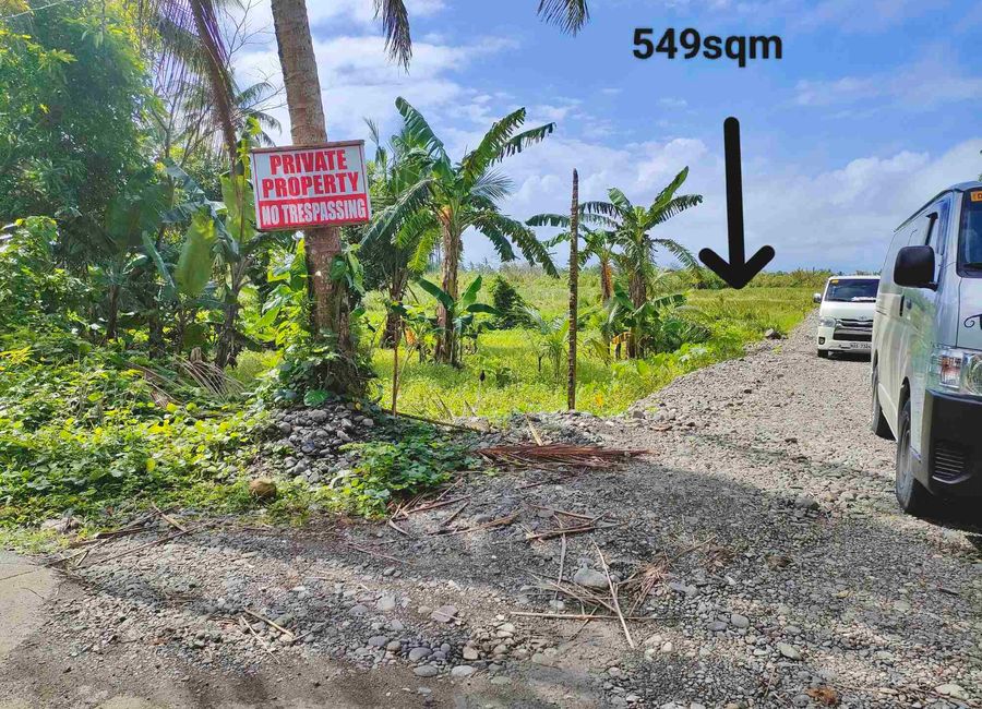 Puting Kamatis, Dinahican, Infanta, Quezon image 2
