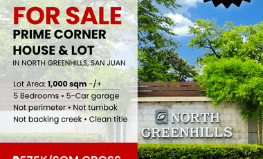 For Sale: Prime Corner House & Lot in North Greenhills Village, San Juan City