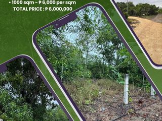 Lot for Sale - 1,000 sqm Lot in Libaong, Panglao