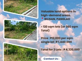 Lot for Sale - Bilisan Panglao ( 3 lots ) 120 sqm or 360 sqm