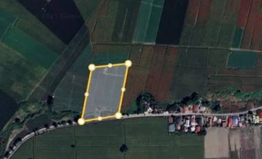 EH-1148: ! FOR SALE ! 9,453 Sqm ‎Farm Lot Located at Brgy. Balutu, Concepcion, Tarlac