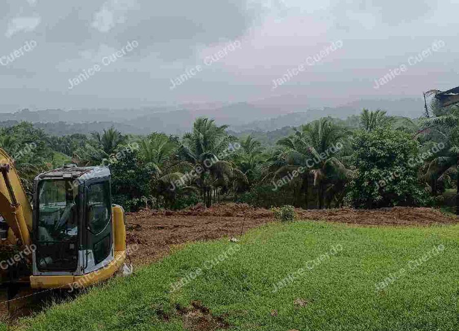 Purok 1, Sampaloc, Tanay, Rizal image 2