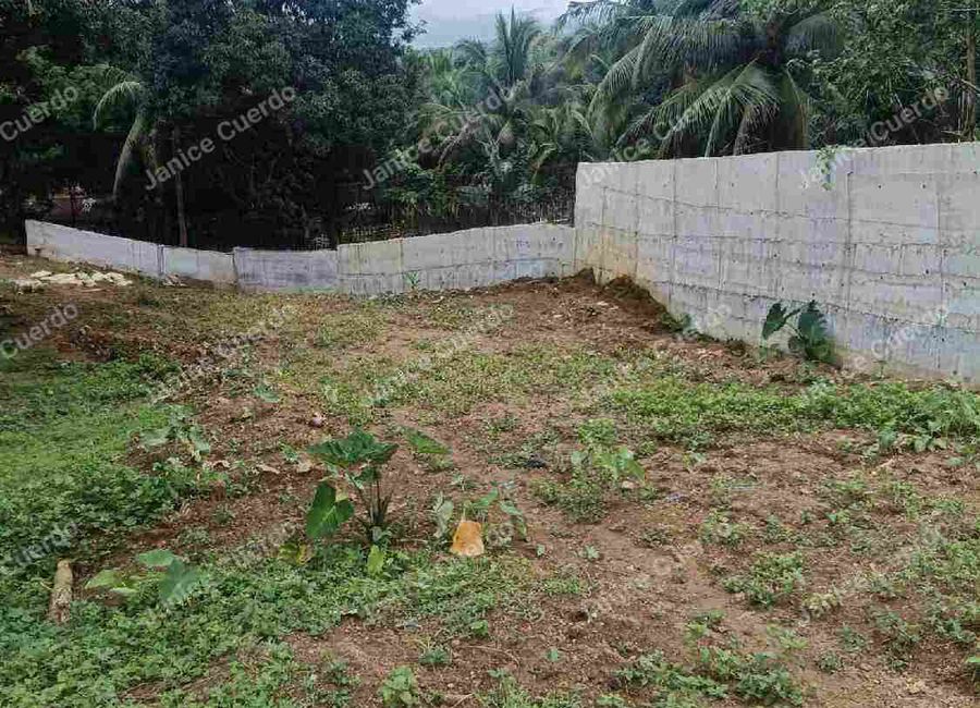 Purok 1, Sampaloc, Tanay, Rizal image 3