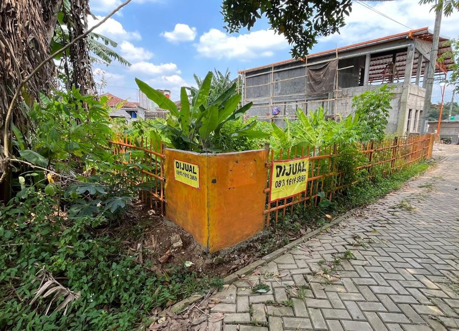 place photo 11