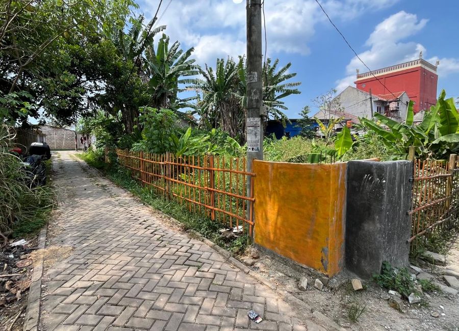 place photo 13