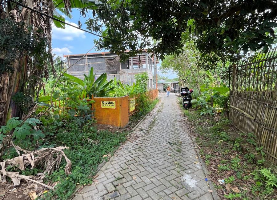 place photo 14