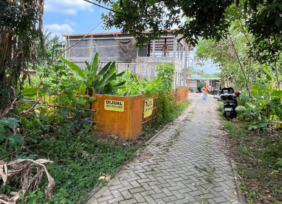 place photo 15