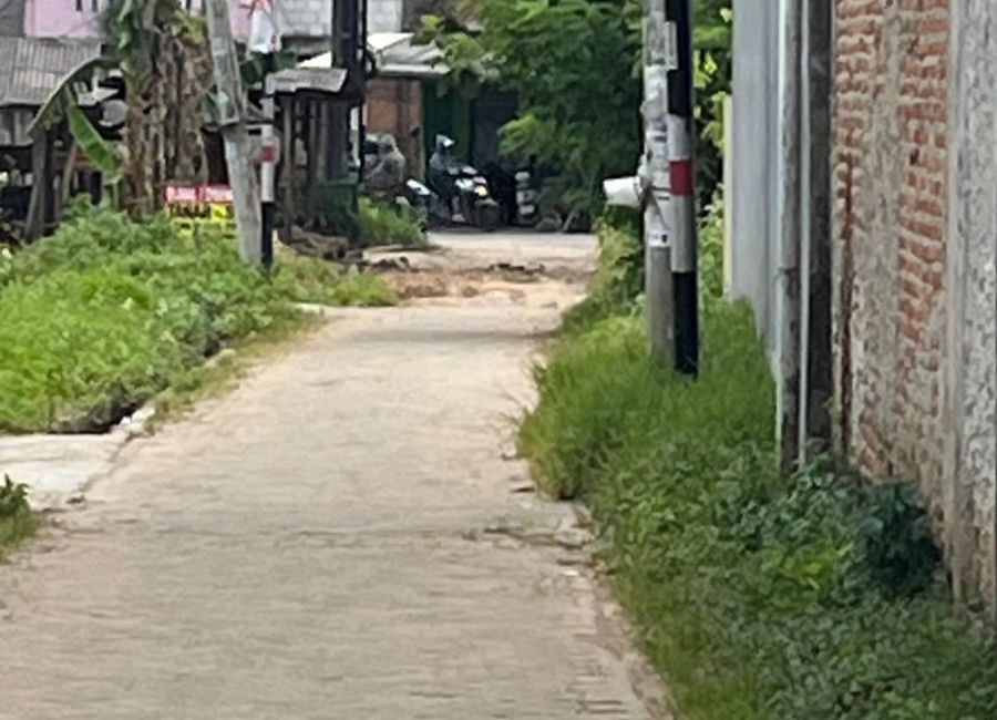 place photo 16