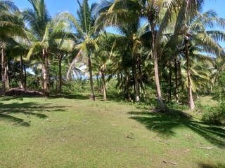 Farm Land For Sale at Ragay Camarines Sur Bicol few minutes drive going to beach