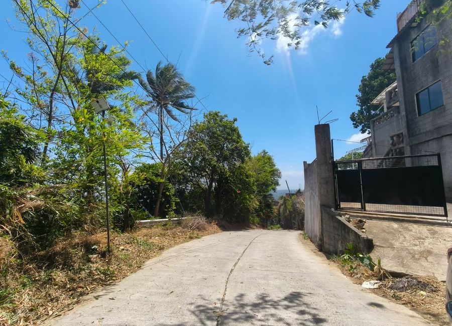 As-is–Niugan Provincial Road, Mamimilit, Niyugan, Laurel, Batangas image 2