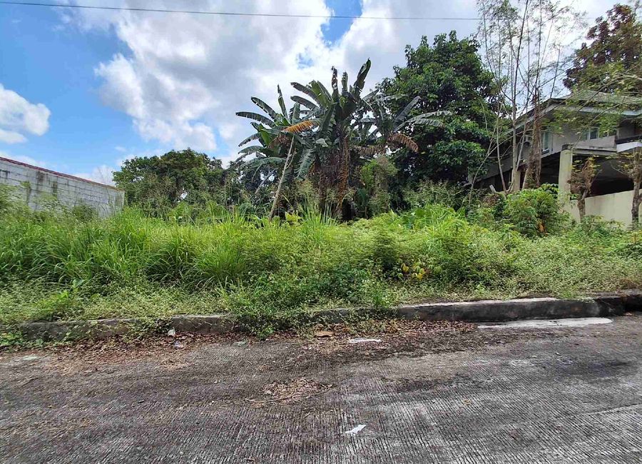 Richdale Subdivision, Santa Cruz, Antipolo, Rizal image 2