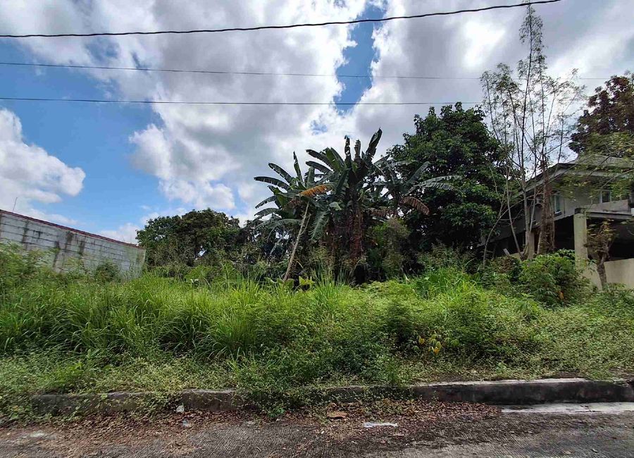 Richdale Subdivision, Santa Cruz, Antipolo, Rizal image 3