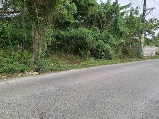 🏡 Prime Residential Bare Lot for Sale | Seaman’s Village | 863 sqm | Road-Facing | Flat Terrain | Negotiable