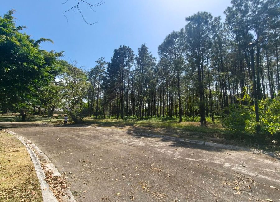 Nuvali Boulevard, Santo Domingo, Santa Rosa, Laguna image 2