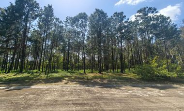PREMIUM LOT FOR SALE IN PROMENADE SUBDIVISION BY BRITTANY – STA. ROSA, LAGUNA!🏡🌿✨