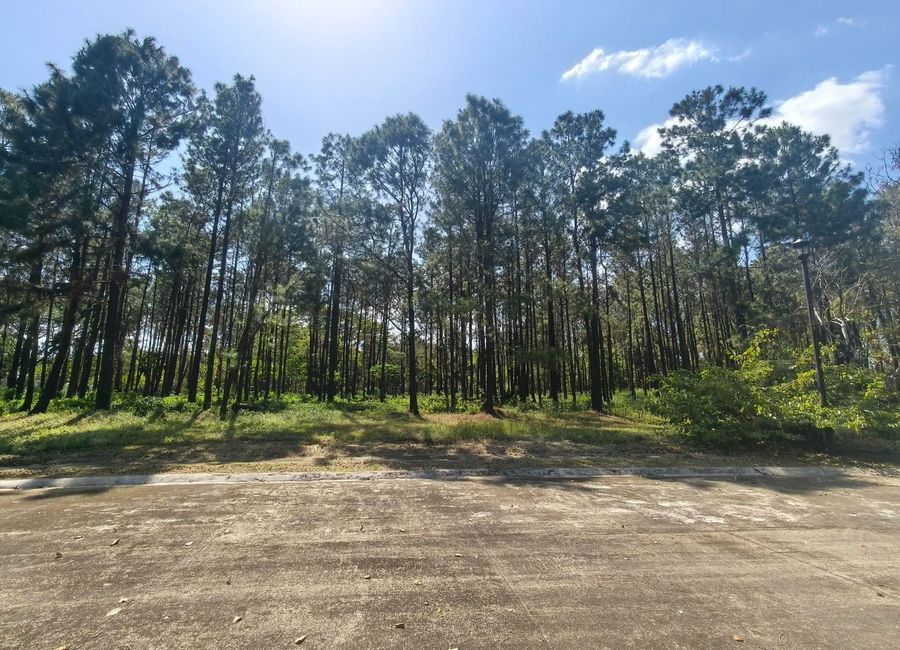 Nuvali Boulevard, Santo Domingo, Santa Rosa, Laguna