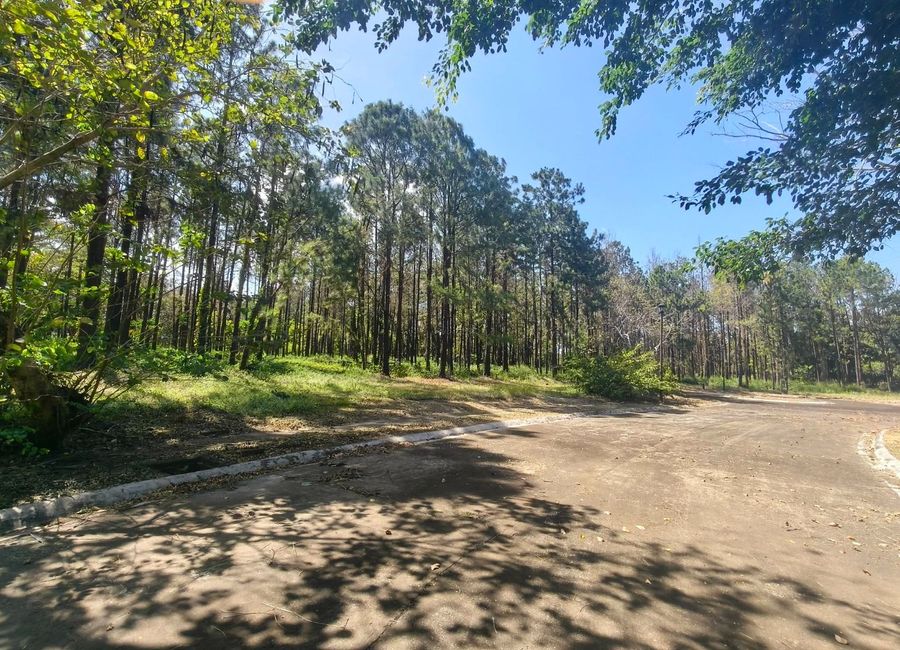 Nuvali Boulevard, Santo Domingo, Santa Rosa, Laguna image 3