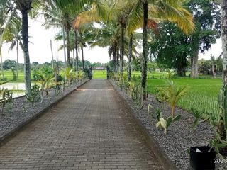 Tanah Strategis 700 m² di Kediri Tabanan – SHM | Cocok Villa / Investasi