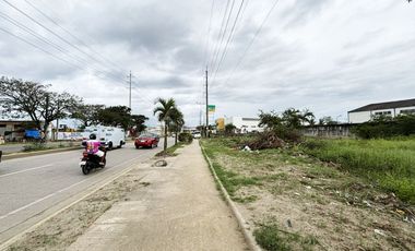 Prime Commercial Lot 4,067 Sqm Near Wilcon Depot in Mandaue City