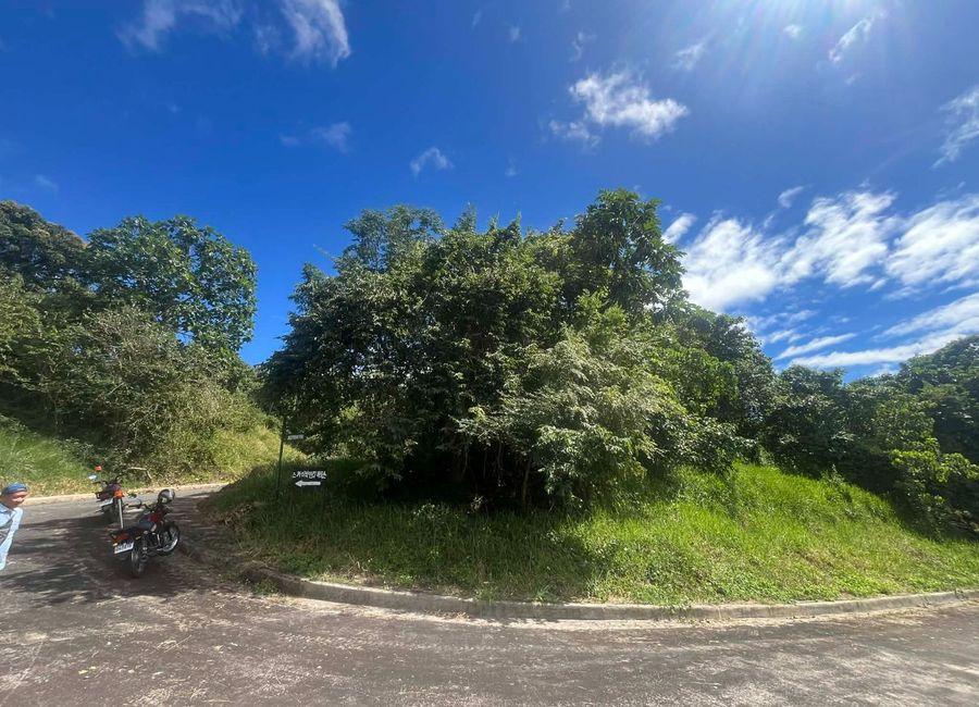 Forest Hills Avenue, Lower Tulakin, Bagong Nayon, Antipolo, Rizal image 3
