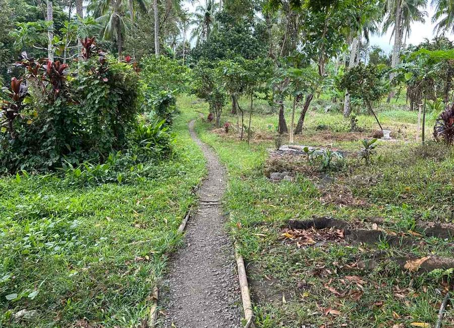 Cambuja, Santa Maria, Laguna image 3
