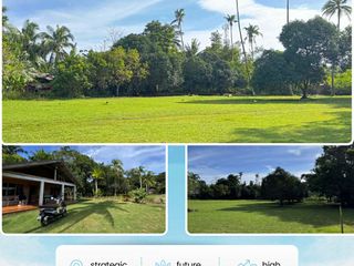 A Rare Lot For Sale at Danao Panglao - 9,027 : 6,000 per sqm