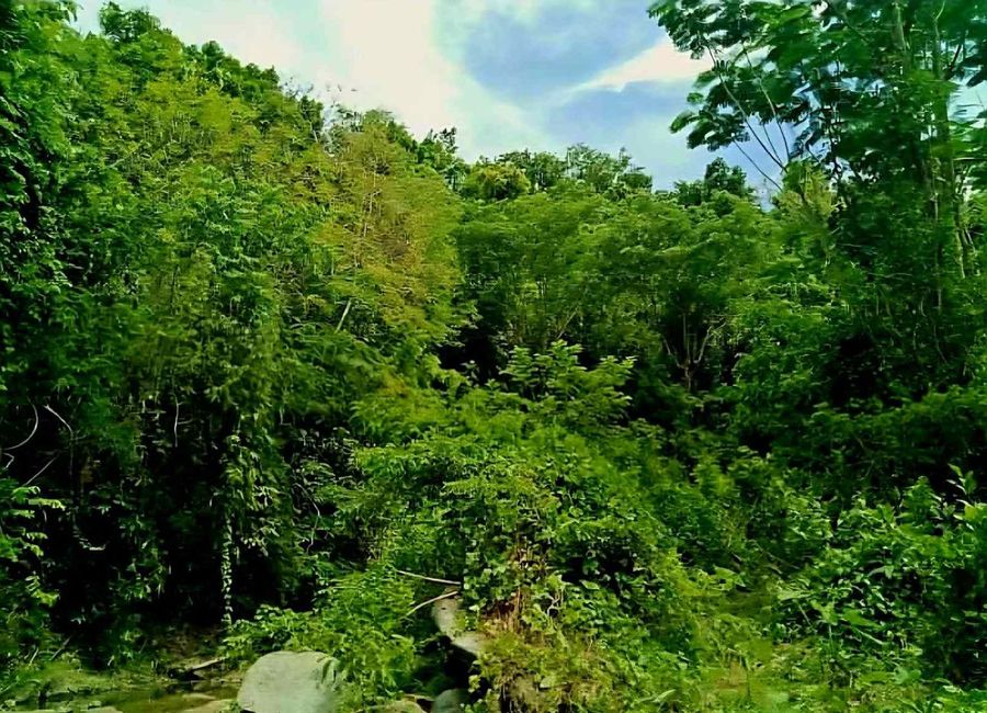 Pulangbato, San Juan, Batangas