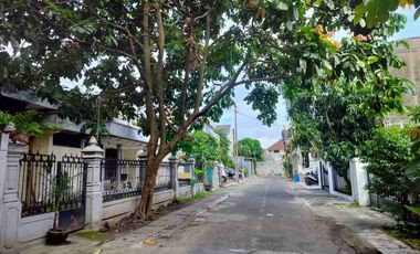 tanah Sinduadi mlati slmn